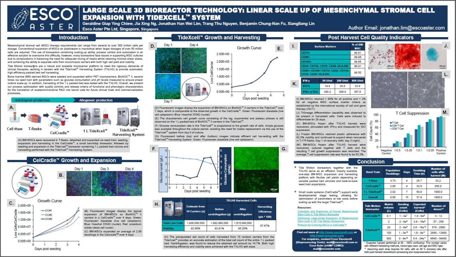 Large Scale 3D Bioreactor Technology: Linear Scale Up of Mesenchymal Stromal Cell Expansion with TideXcell™ System